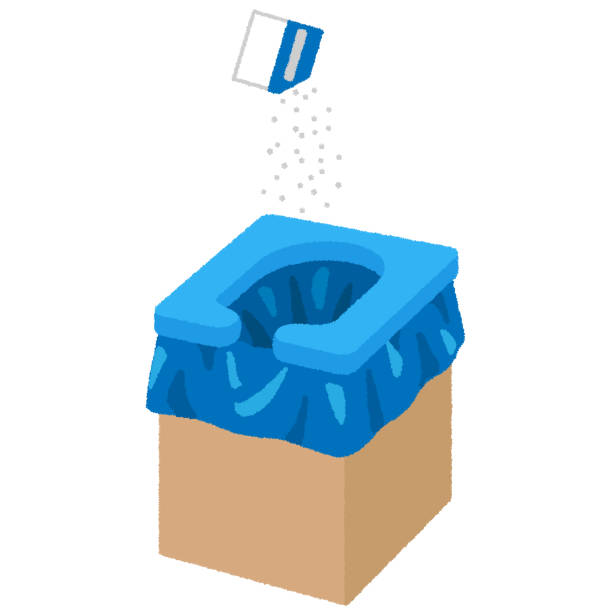 Best Affordable portable toilet rental  in Renton, WA